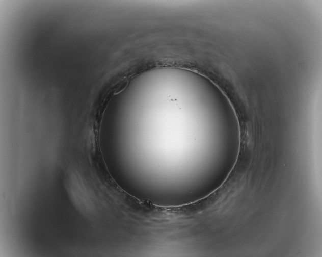 X0000089881493200707051200