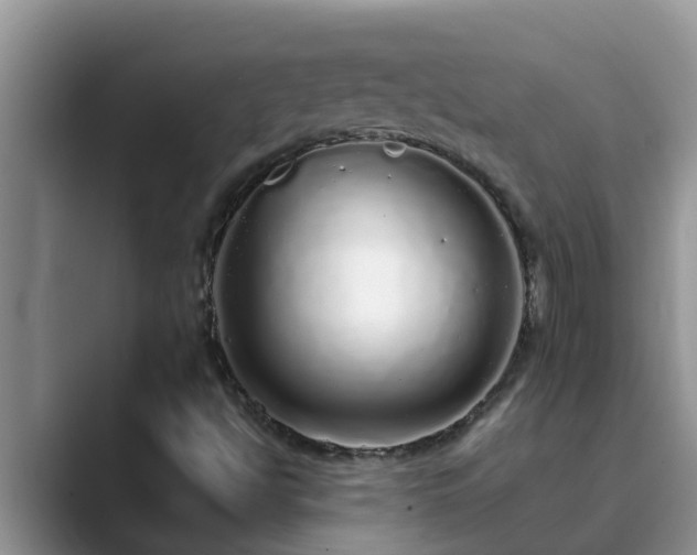 X0000089881494200707051200