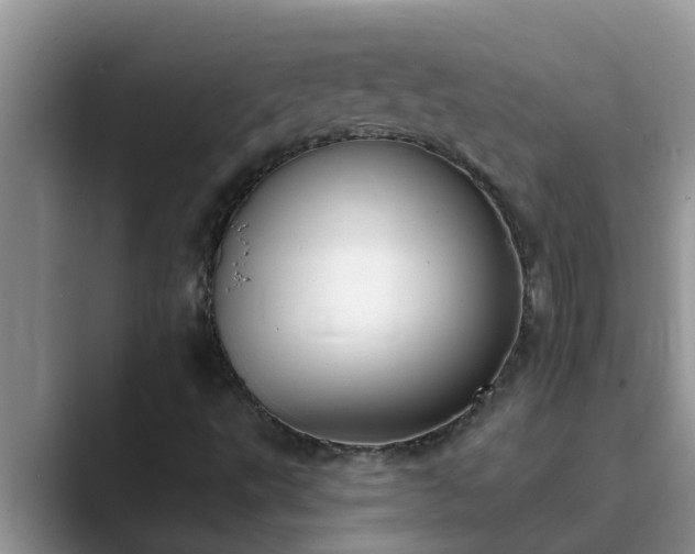 X0000089881495200707051200