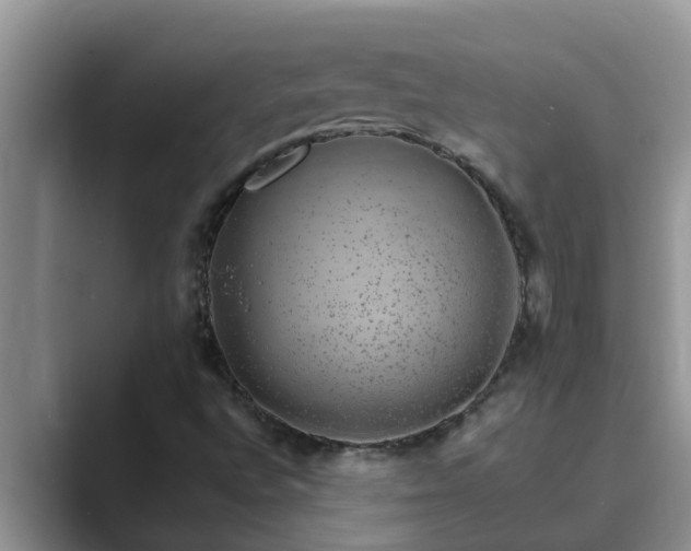 X0000089881496200707051200