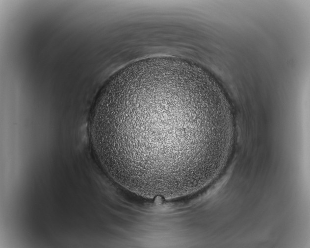 X0000089881497200707051200