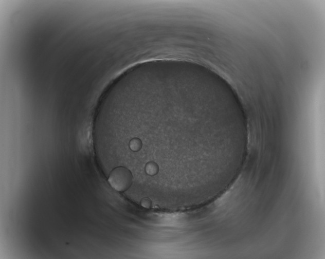 X0000089881498200707051200