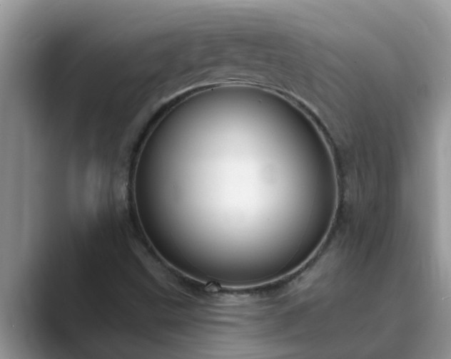 X0000089881499200707051200