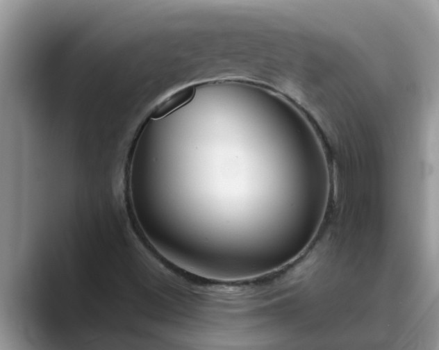 X0000089881500200707051200