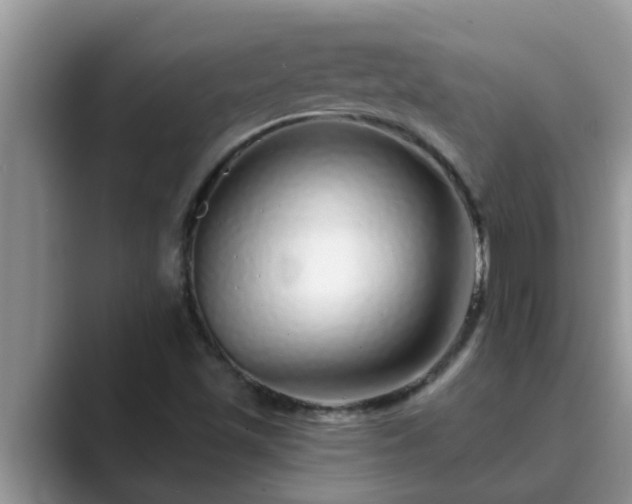 X0000089881501200707051200