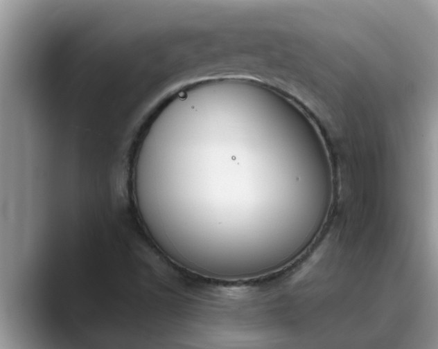 X0000089881502200707051200