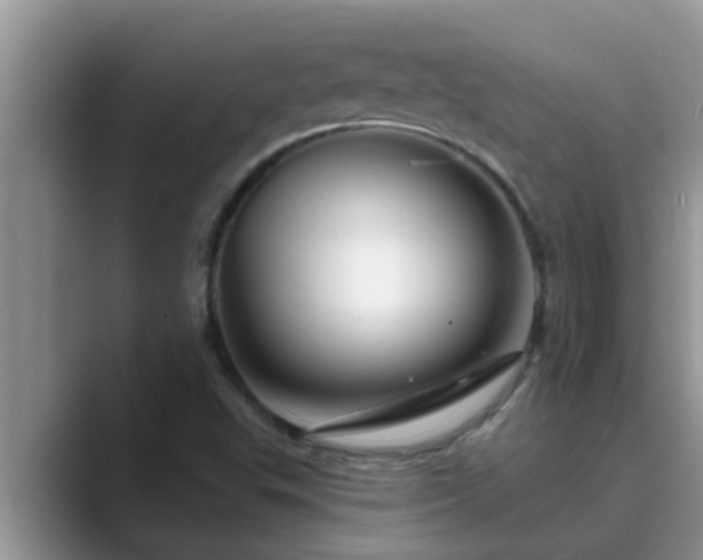 X0000089881503200707051200