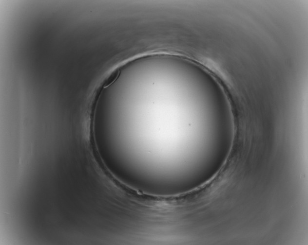 X0000089881504200707051200