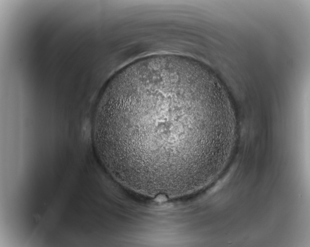 X0000089881505200707051200