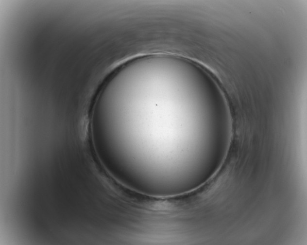 X0000089881507200707051200