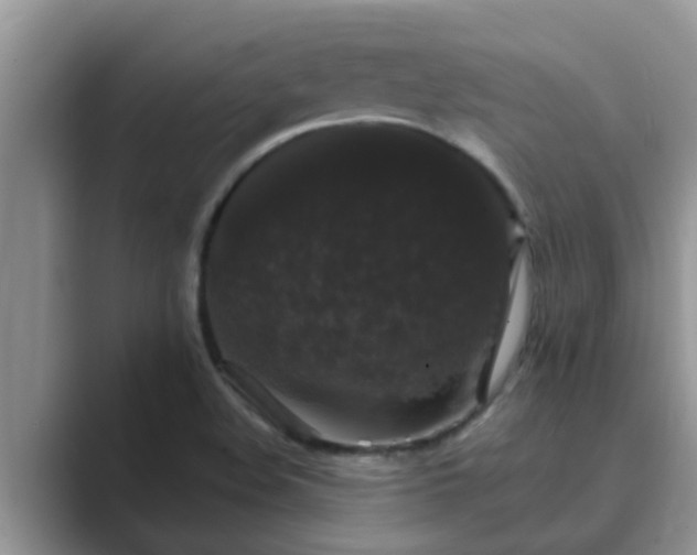 X0000089881508200707051200