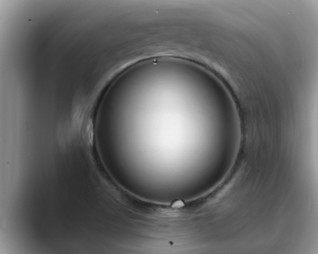 X0000089881509200707051200