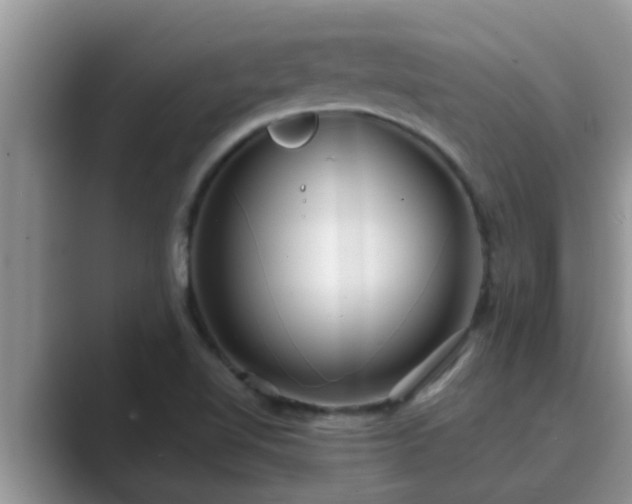 X0000089881510200707051200