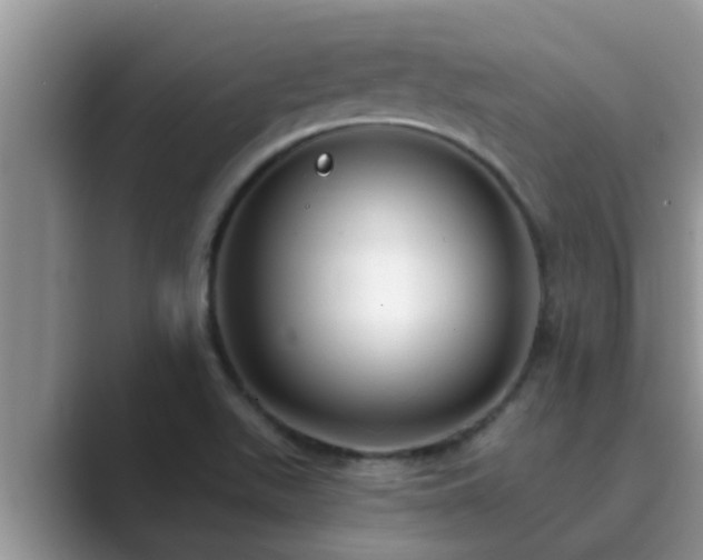 X0000089881511200707051200