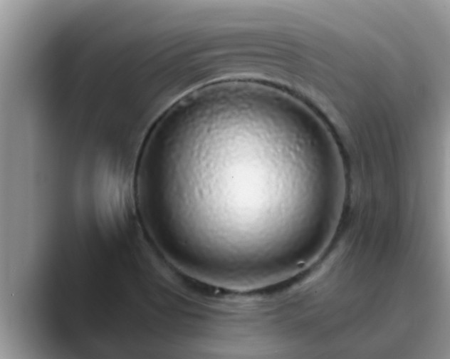 X0000089881513200707051200