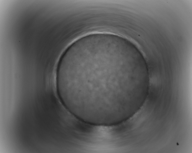 X0000089881514200707051200