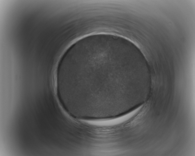 X0000089881515200707051200