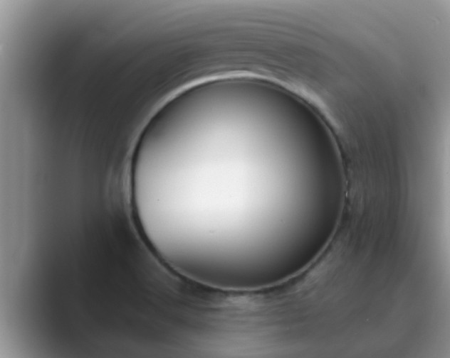 X0000089881516200707051200