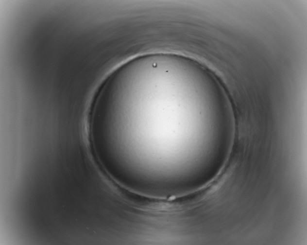 X0000089881517200707051200