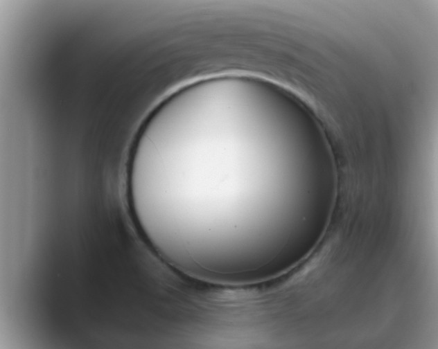 X0000089881518200707051200