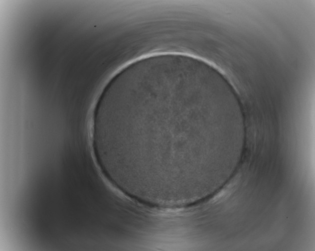 X0000089881519200707051200