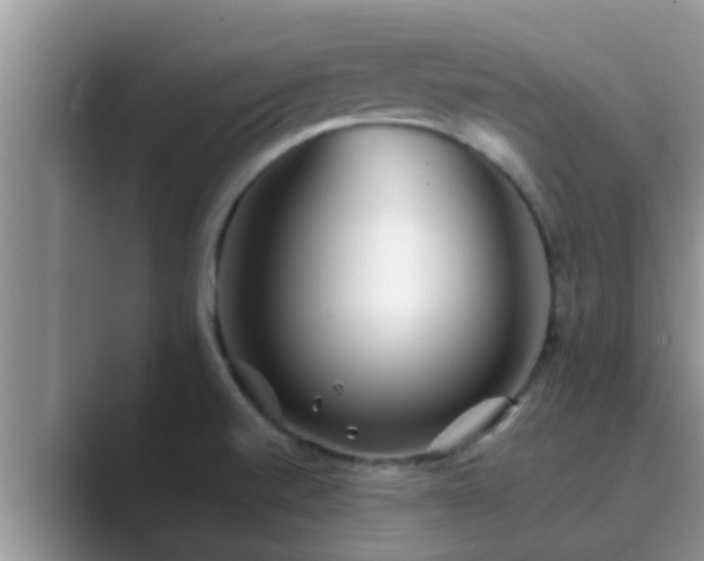 X0000089881520200707051200