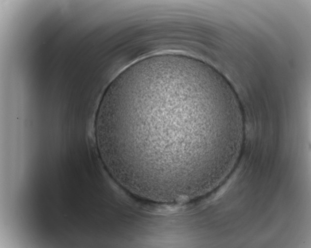 X0000089881521200707051200