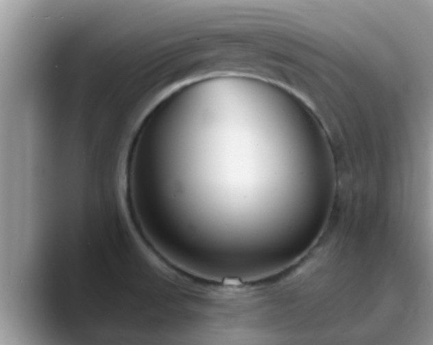 X0000089881523200707051201