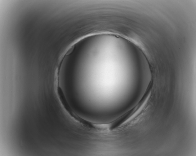 X0000089881524200707051201