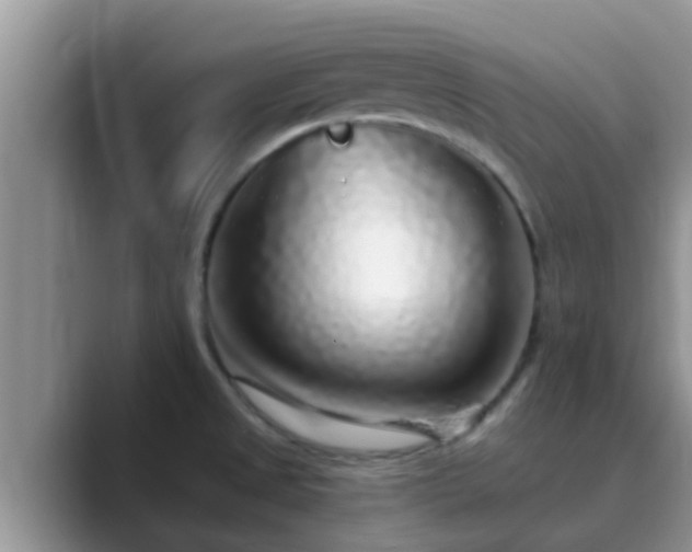 X0000089881525200707051201