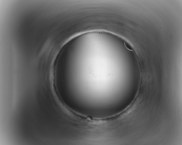 X0000089881526200707051201