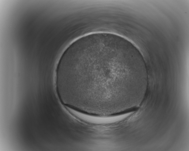 X0000089881527200707051201