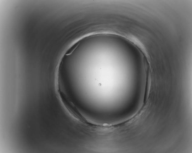 X0000089881528200707051201