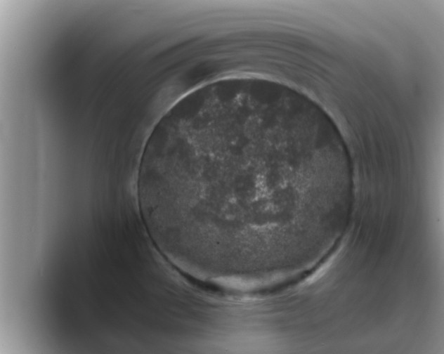 X0000089881529200707051201