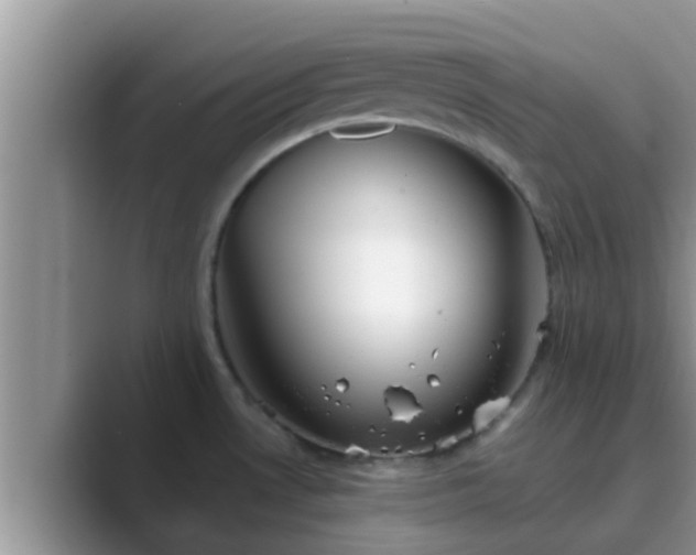 X0000089881530200707051201