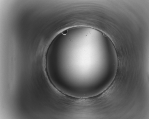 X0000089881531200707051201