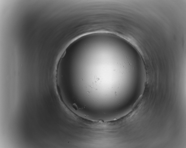 X0000089881532200707051201