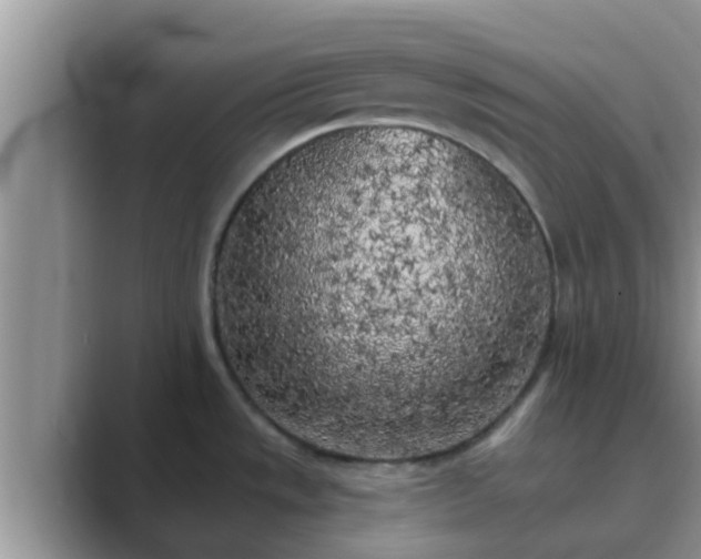 X0000089881533200707051201