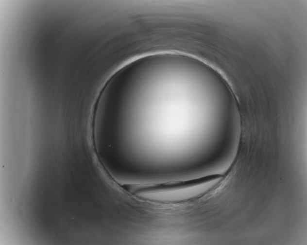 X0000089881534200707051201