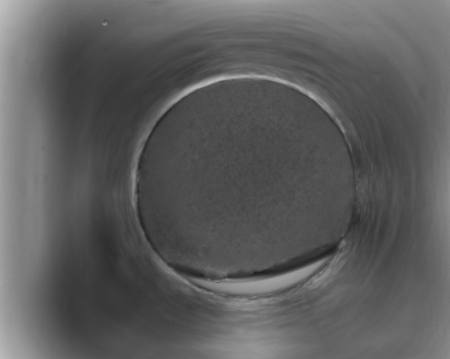 X0000089881535200707051201