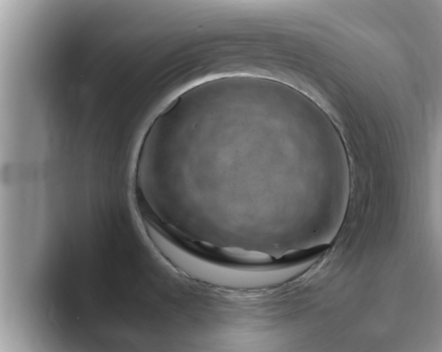 X0000089881536200707051201