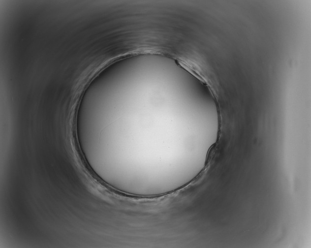 X0000089880001200707121821