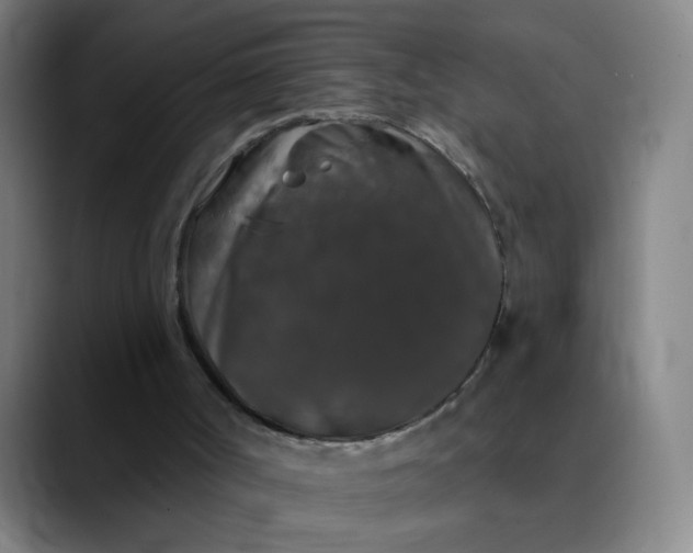 X0000089880002200707121821