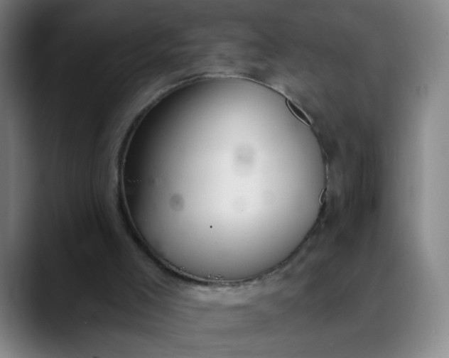 X0000089880005200707121821