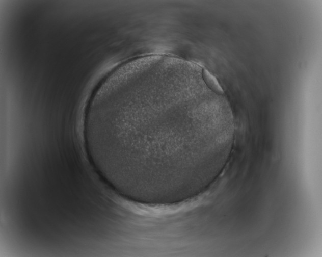 X0000089880006200707121821