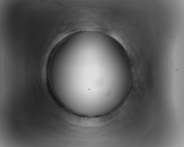 X0000089880008200707121821