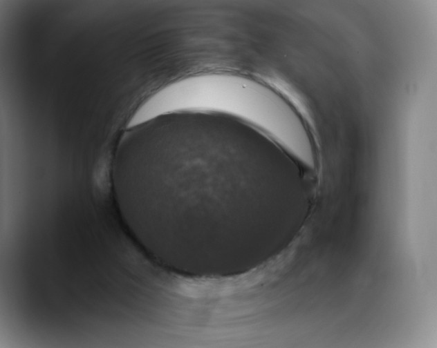 X0000089880009200707121821