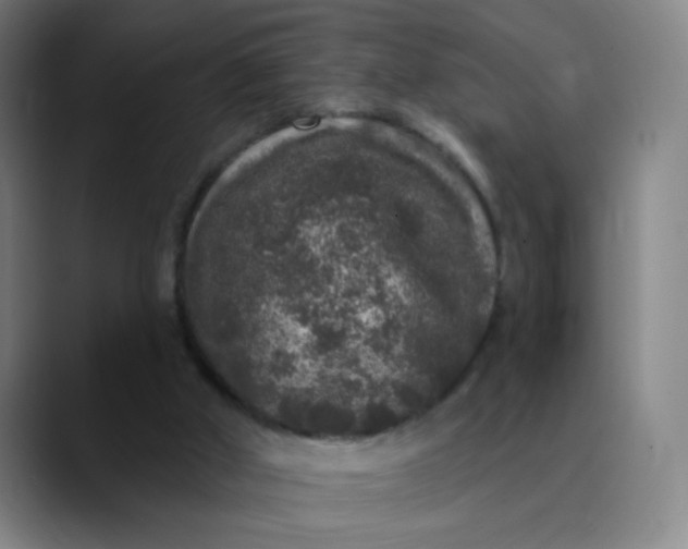 X0000089880010200707121821