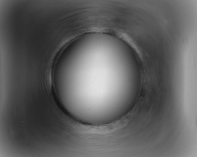 X0000089880011200707121821