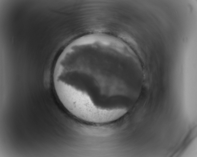 X0000089880012200707121821